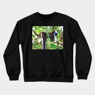 Monkey in Tree - Boquete, Panama Crewneck Sweatshirt